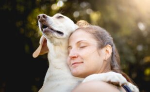 cachorro-pet-pets-saude-mental-animal-de-estimacao