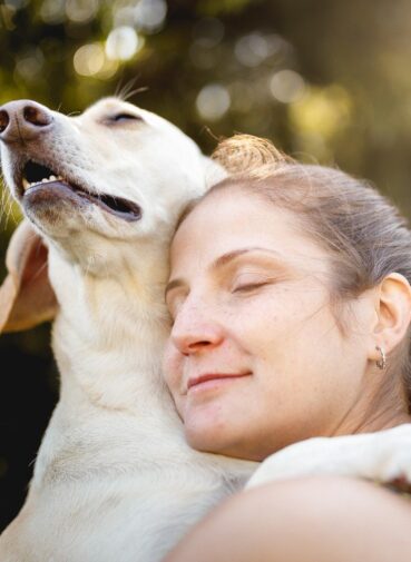 cachorro-pet-pets-saude-mental-animal-de-estimacao