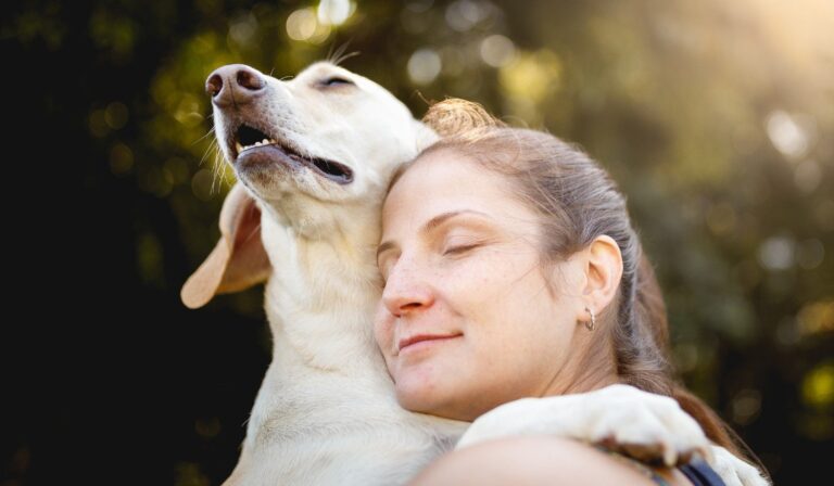 cachorro-pet-pets-saude-mental-animal-de-estimacao